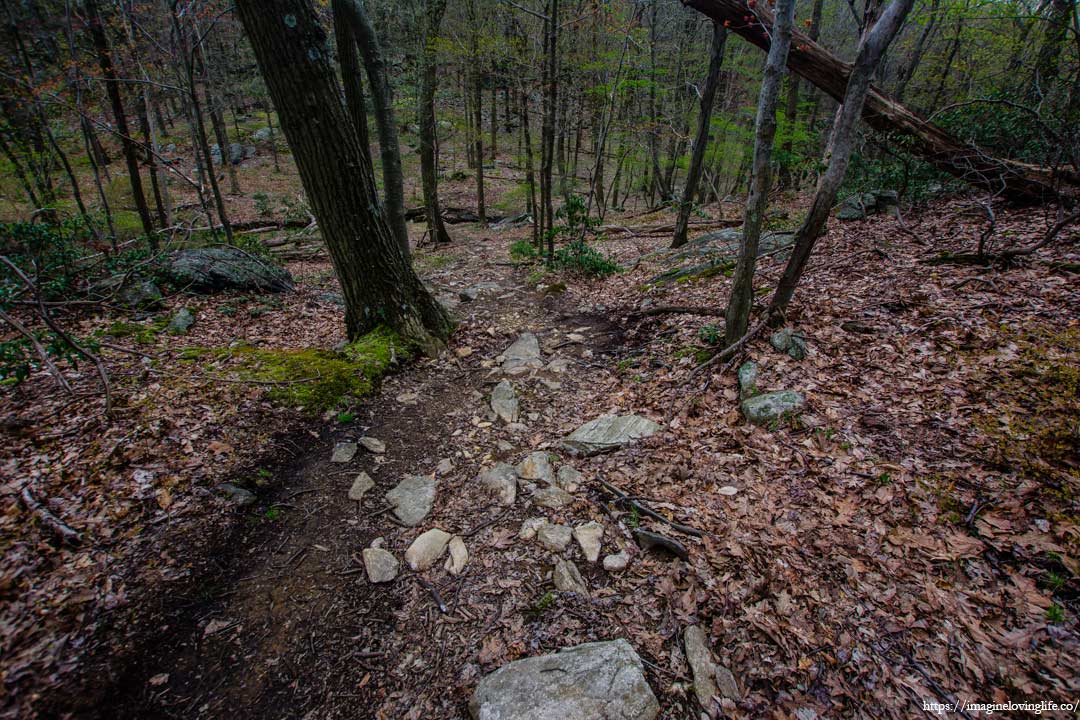 bald mountain descent